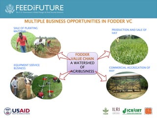 Accelerated Value Chain Development (AVCD) Dairy Component