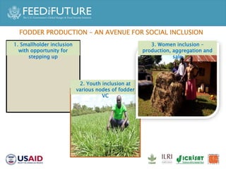 Accelerated Value Chain Development (AVCD) Dairy Component