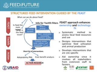 Accelerated Value Chain Development (AVCD) Dairy Component