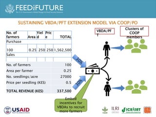 Accelerated Value Chain Development (AVCD) Dairy Component
