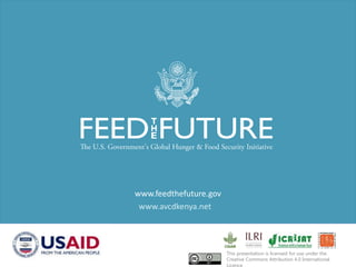 Accelerated Value Chain Development (AVCD) Dairy Component