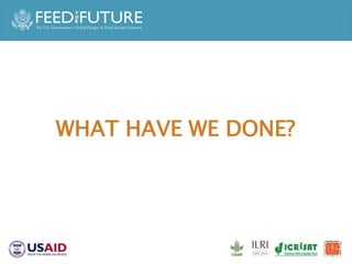 Accelerated Value Chain Development (AVCD) Dairy Component