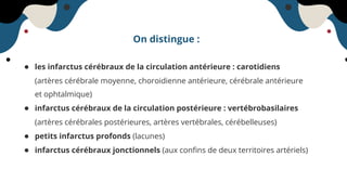 On distingue :
● les infarctus cérébraux de la circulation antérieure : carotidiens
(artères cérébrale moyenne, choroidienne antérieure, cérébrale antérieure
et ophtalmique)
● infarctus cérébraux de la circulation postérieure : vertébrobasilaires
(artères cérébrales postérieures, artères vertébrales, cérébelleuses)
● petits infarctus profonds (lacunes)
● infarctus cérébraux jonctionnels (aux conﬁns de deux territoires artériels)
 