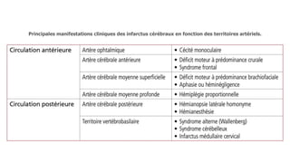 Principales manifestations cliniques des infarctus cérébraux en fonction des territoires artériels.
 