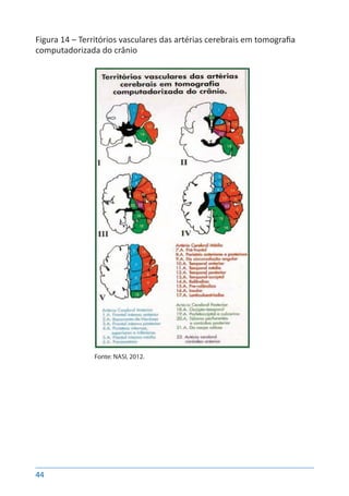 44
Figura 14 – Territórios vasculares das artérias cerebrais em tomografia
computadorizada do crânio
	
Fonte: NASI, 2012.
 