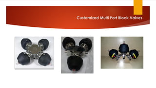 Customized Multi Port Block Valves
 