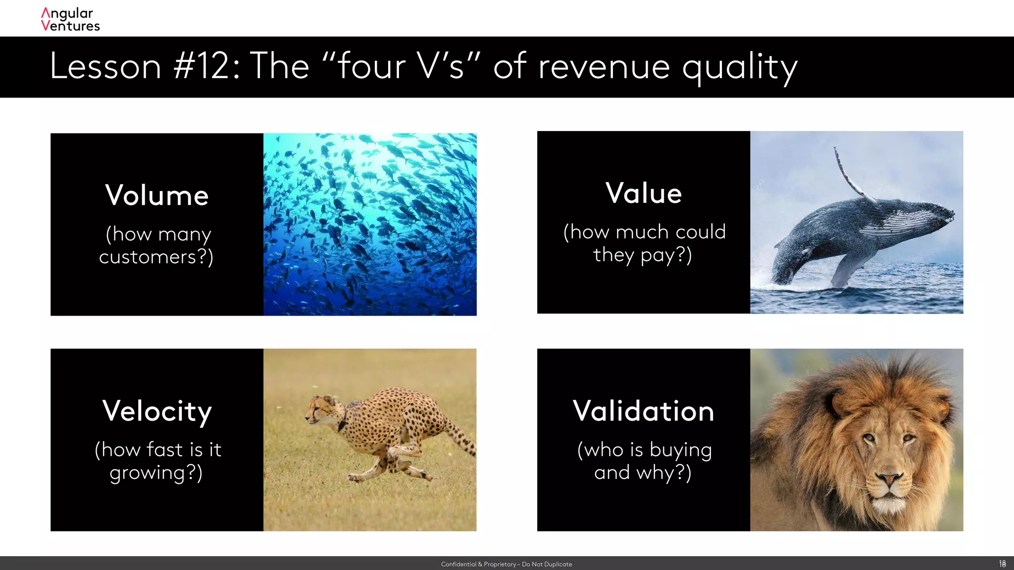 Confidential & Proprietary – Do Not Duplicate 18
Lesson #12: The “four V’s” of revenue quality
18
Volume
(how many
customers?)
Value
(how much could
they pay?)
Validation
(who is buying
and why?)
Velocity
(how fast is it
growing?)
 