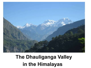 The Dhauliganga Valley
in the Himalayas
 