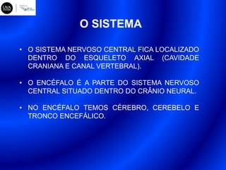 O SISTEMA
• O SISTEMA NERVOSO CENTRAL FICA LOCALIZADO
DENTRO DO ESQUELETO AXIAL (CAVIDADE
CRANIANA E CANAL VERTEBRAL).
• O ENCÉFALO É A PARTE DO SISTEMA NERVOSO
CENTRAL SITUADO DENTRO DO CRÂNIO NEURAL.
• NO ENCÉFALO TEMOS CÉREBRO, CEREBELO E
TRONCO ENCEFÁLICO.
 