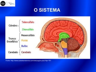 O SISTEMA
Fonte: http://www.auladeanatomia.com/site/pagina.php?idp=161
 