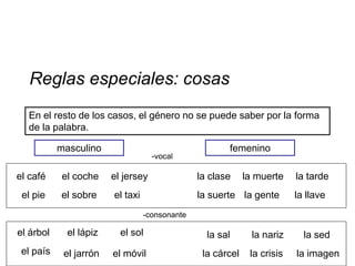 Reglas especiales: cosas
  En el resto de los casos, el género no se puede saber por la forma
  de la palabra.

           masculino                                   femenino
                                    -vocal

el café     el coche    el jersey               la clase     la muerte    la tarde
 el pie    el sobre     el taxi                 la suerte la gente        la llave
                                  -consonante

el árbol     el lápiz     el sol                  la sal       la nariz     la sed
 el país    el jarrón   el móvil                 la cárcel    la crisis   la imagen
 