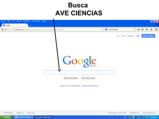 Busca
AVE CIENCIAS
 