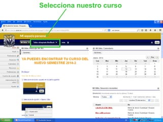 Selecciona nuestro curso
 