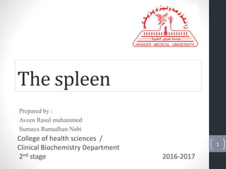 The spleen
Prepared by :
Aveen Rasul muhammed
Sumaya Ramadhan Nabi
College of health sciences /
Clinical Biochemistry Department
2nd stage 2016-2017
1
 