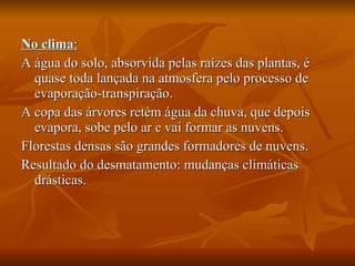 No clima : A água do solo, absorvida pelas raízes das plantas, é quase toda lançada na atmosfera pelo processo de evaporação-transpiração. A copa das árvores retém água da chuva, que depois evapora, sobe pelo ar e vai formar as nuvens. Florestas densas são grandes formadores de nuvens. Resultado do desmatamento: mudanças climáticas drásticas. 