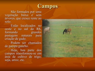 Campos São formados por uma vegetação baixa e sem árvores, que cresce rente ao solo. Estão localizados no oeste e no sul do RS, formando grandes pastagens naturais para criação de gado. Podem ser chamados de pampa gaúcho. Hoje, boa parte dos campos transformou-se em área de cultivo de trigo, soja, arroz, etc. 