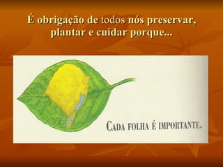 É obrigação de  todos  nós preservar, plantar e cuidar porque... 