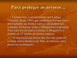 Para proteger as árvores ... Existem leis, o estado possui um Código Florestal, desde 1992, que estabelece normas como por exemplo: as árvores nativas não podem ser cortadas. Se houver corte, é obrigatória a reposição. Para cada árvore nativa cortada, é obrigatório o plantio de 15 mudas da mesma espécie.  A vegetação das beiras dos rios não pode ser cortada numa distância de 30m, no mínimo, para preservar as margens. 