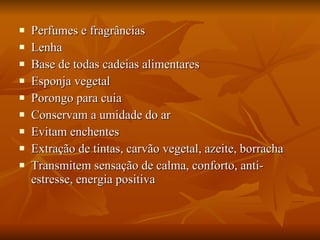 Perfumes e fragrâncias Lenha Base de todas cadeias alimentares Esponja vegetal Porongo para cuia  Conservam a umidade do ar Evitam enchentes Extração de tintas, carvão vegetal, azeite, borracha Transmitem sensação de calma, conforto, anti-estresse, energia positiva 
