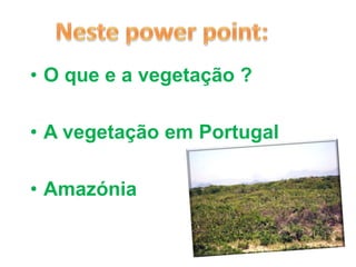 Neste power point: O que e a vegetação ?A vegetação em Portugal Amazónia