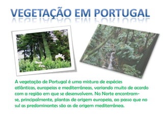 Vegetação em Portugal    A vegetação de Portugal é uma mistura de espécies atlânticas, europeias e mediterrâneas, variando muito de acordo com a região em que se desenvolvem. No Norte encontram-se, principalmente, plantas de origem europeia, ao passo que no sul as predominantes são as de origem mediterrânea.