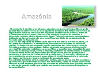 Amazónia        O ambiente é húmido e as chuvas, abundantes. A menor imprudência pode causar danos irreversíveis ao seu equilíbrio delicado. Na Amazónia vivem e se reproduzem mais de um terço das espécies existentes no planeta. Além de 2.500 espécies de árvores (um terço da madeira tropical do mundo), a Amazónia também abriga água, muita água. Todos os números que envolvem indicadores desse bioma são enormes. Uma boa ideia da exuberância da floresta está na fauna local.Das 100 mil espécies de plantas que ocorrem em toda a América Latina, 30 mil estão na Amazónia. A diversidade em espécies se repete na fauna da região. Os insectos, por exemplo, estão presentes em todos os estratos da floresta, e podem, com certeza, deixar qualquer pessoa, no mínimo, muito nervosa! Os animais rastejadores, os anfíbios e aqueles com capacidade para subir em locais íngremes, como o esquilo, exploram os níveis baixos e médios.Os locais mais altos são explorados por beija-flores, araras, papagaios e periquitos à procura de frutas, brotos e castanhas. Os tucanos, voadores de curta distância, exploram as árvores altas. O nível intermediário é habitado por jacus, gaviões, corujas e centenas de pequenas aves.No extracto terrestre estão os jabutis, cutias, pacas, antas etc. Os mamíferos aproveitam a produtividade sazonal dos alimentos, como os frutos caídos das árvores. Esses animais, por sua vez, servem de alimentos para grandes felinos e cobras de grande porte, que podem ser encontrados com uma frequência desagradável…