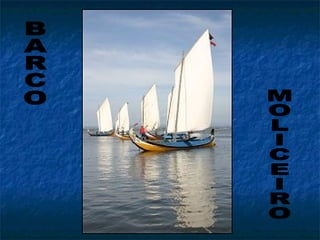 BARCO MOLICEIRO 