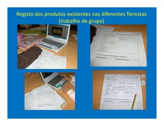 Registo dos produtos existentes nas diferentes florestas
                 (trabalho de grupo)
 