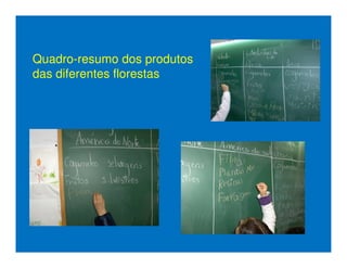 Quadro-resumo dos produtos
das diferentes florestas
 