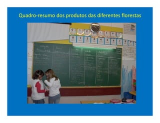 Quadro-resumo dos produtos das diferentes florestas
 