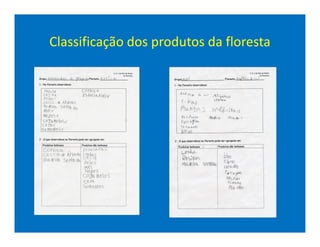 Classificação dos produtos da floresta
 