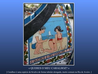 [ Caralhoz é uma espécie de bivalve de forma tubular alongada, muito comum na Ria de Aveiro. ] « QUERES O MEU CARALHOZ? » 