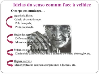 Doenças ou predisposição  genéticas.Ideias do senso comum face à velhiceO corpo em mudança…Aparência física:     Cabelo cinzento/branco; Pele enrugada; Postura curvada.Órgão dos sentidos: Défice auditivo; Menor capacidade de visão, etc.Músculos, ossos e mobilidade:	  Diminuição da motricidade fina e aumento do tempo de reacção, etc.Órgãos internos    Menor protecção contra microrganismos e doenças, etc.