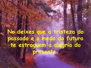 No deixes que a tristeza do passado e o medo do futuro te estraguem a alegria do presente. 