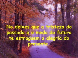No deixes que a tristeza do
passado e o medo do futuro
 te estraguem a alegria do
         presente.
 