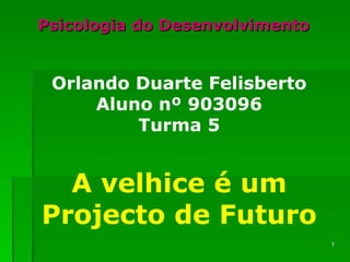 Psicologia do Desenvolvimento Orlando Duarte Felisberto Aluno nº 903096 Turma 5 A velhice é um Projecto de Futuro 