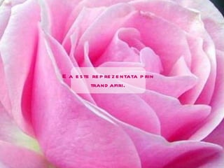 Ea este reprezentata prin trandafiri. 