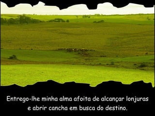 Entrego-lhe minha alma afoita de alcançar lonjuras e abrir cancha em busca do destino. 
