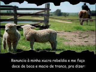 Renuncio à minha xucra rebeldia e me faço doce de boca e macio de tranco, pra dizer: 