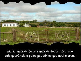 Maria, mãe de Deus e mãe de todos nós, roga  pela querência e pelos gaudérios que aqui moram,  