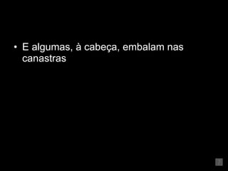 E algumas, à cabeça, embalam nas canastras 