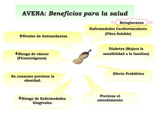 AVENA:  Beneficios para la salud Enfermedades Cardiovasculares (Fibra Soluble) Niveles de Antioxidantes Diabetes (Mejora la sensibilidad a la Insulina) Riesgo de cáncer (Fitoestrógenos) Su consumo previene la obesidad. Efecto Prebiótico Previene el estreñimiento Riesgo de Enfermedades  Gingivales. Betaglucanos 