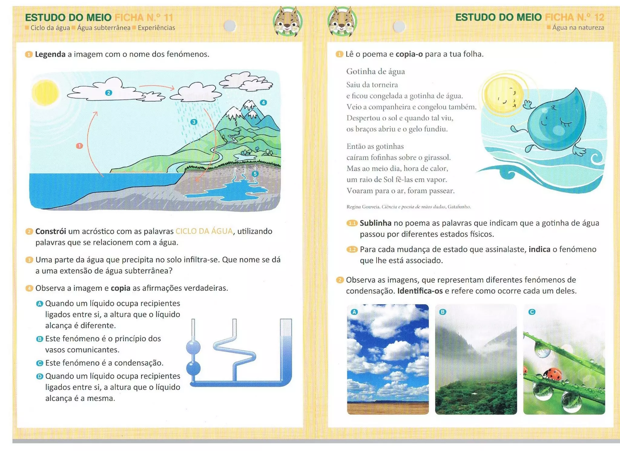 Aventura 4âº ano em