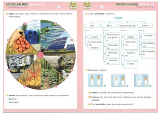 Aventura 4âº ano em