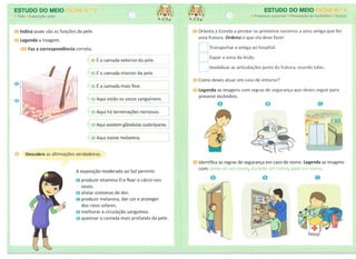 Aventura 4âº ano em