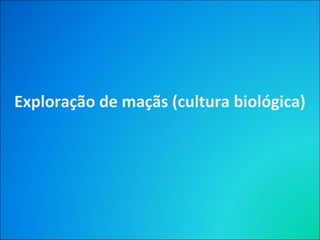 Exploração de maçãs (cultura biológica)