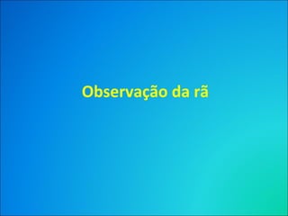 Observação da rã
 
