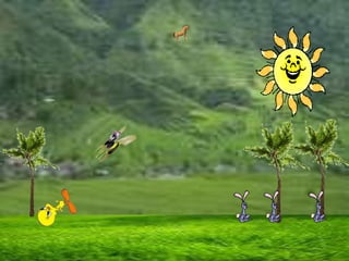 Aventuras de piolìn