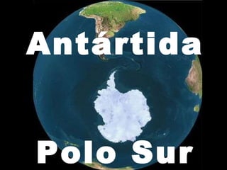 Antártida Polo Sur 