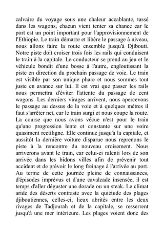 calvaire du voyage sous une chaleur accablante, tassé
dans les wagons, chacun vient tenter sa chance car le
port est un point important pour l'approvisionnement de
l'Ethiopie. Le train démarre et libère le passage à niveau,
nous allons faire la route ensemble jusqu'à Djibouti.
Notre piste doit croiser trois fois les rails qui conduisent
le train à la capitale. Le conducteur se prend au jeu et le
véhicule bondit d'une bosse à l'autre, engloutissant la
piste en direction du prochain passage de voie. Le train
est visible par son unique phare et nous sommes tout
juste en avance sur lui. Il est vrai que passer les rails
nous permettra d'éviter l'attente du passage de cent
wagons. Les derniers virages arrivent, nous apercevons
le passage au dessus de la voie et à quelques mètres il
faut s'arrêter net, car le train surgi et nous coupe la route.
La course que nous avons vécue n'est pour le train
qu'une progression lente et constante sur une voire
quasiment rectiligne. Elle continue jusqu'à la capitale, et
aussitôt la dernière voiture disparue nous reprenons le
piste à la rencontre du nouveau croisement. Nous
arriverons avant le train, car celui-ci ralenti lors de son
arrivée dans les bidons villes afin de prévenir tout
accident et de prévoir le long freinage à l'arrivée au port.
Au terme de cette journée pleine de connaissances,
d'épisodes imprévus et d'une cavalcade insensée, il est
temps d'aller déguster une dorade ou un steak. Le climat
aride des déserts contraste avec la quiétude des plages
djiboutiennes, celles-ci, lieux abrités entre les deux
rivages de Tadjourah et de la capitale, se resserrent
jusqu'à une mer intérieure. Les plages voient donc des
 